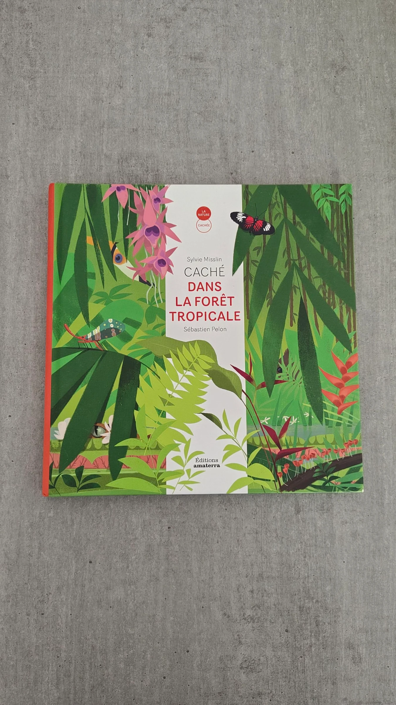 Livre "Caché dans la forêt tropicale" - Album pour enfant